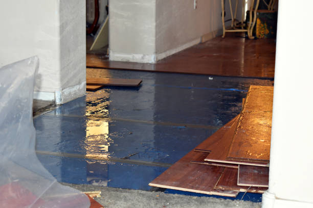 Professional Basement Flood Cleanup technician working in East Butler, PA